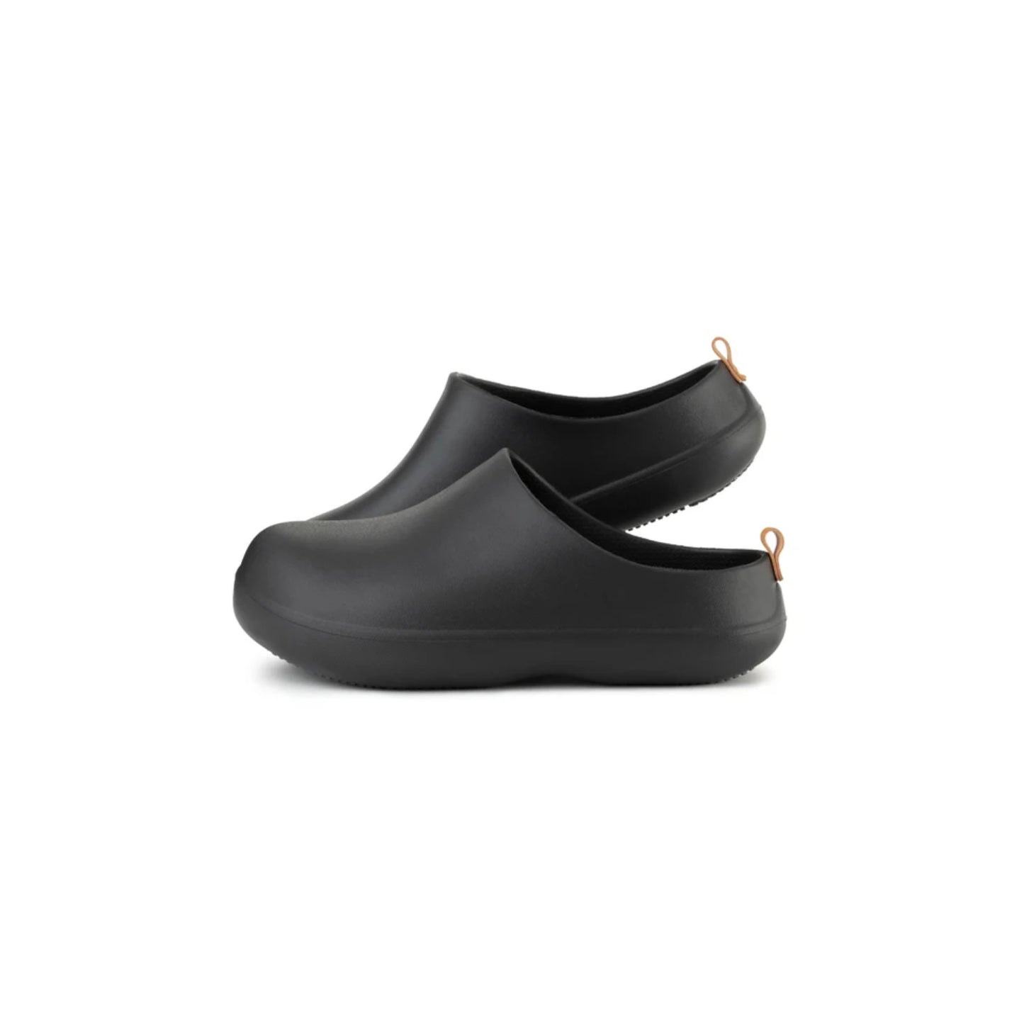 bi×sole